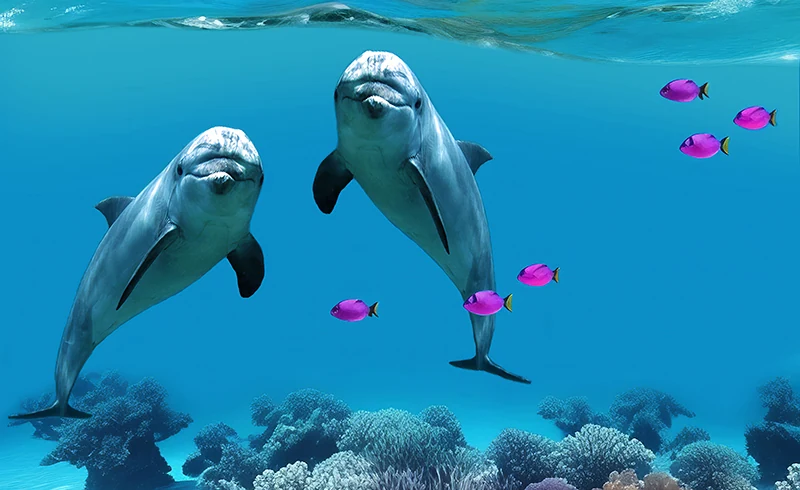 のどじま水族館