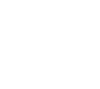 THE BASICS