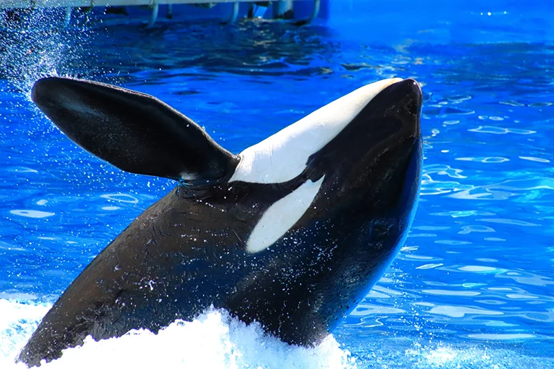 名古屋港水族館