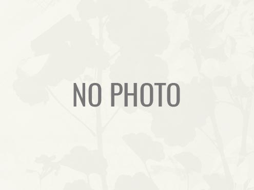 NO PHOTO