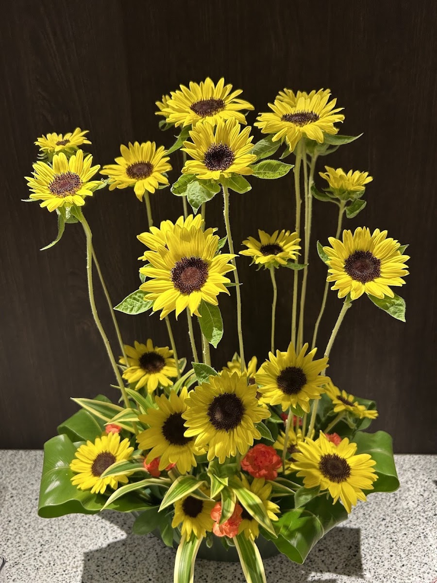季節のお花が新しくなりました
