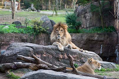 天王寺動物園