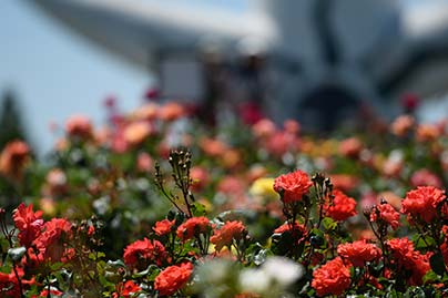 万博記念公園