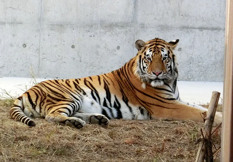 天王寺動物園