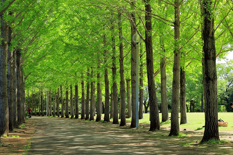万博記念公園