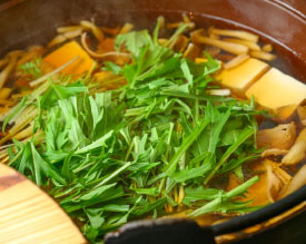 元気朝食